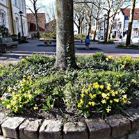 Rathaus2 55589270 2322429231326178 680449916358623232 n2