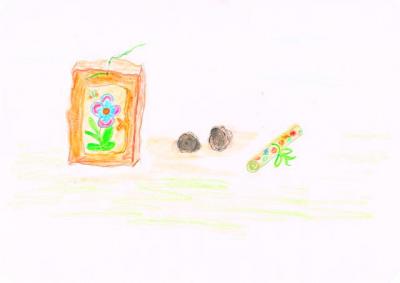 Bild5